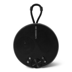 BRAINZ Disk Speaker Black