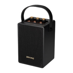 BRAINZ Retro Speaker Zwart