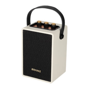 BRAINZ Retro Speaker Wit