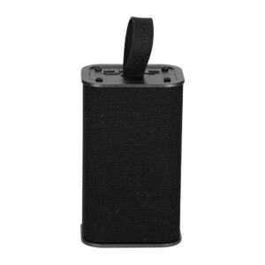 BRAINZ Speaker Spike Zwart