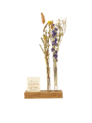 Pure collection Thee tubes set