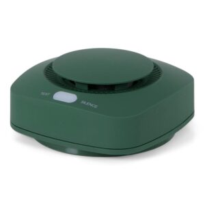 BRAINZ Rookmelder Groen