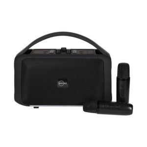 BRAINZ Karaoke Speaker XXL