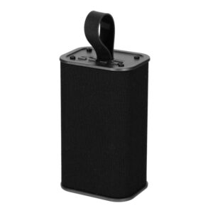 BRAINZ Speaker Spike Zwart