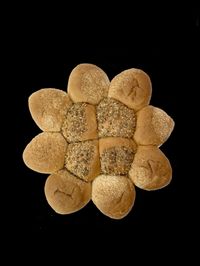 BF-WOB Breekbrood ster 270 gram